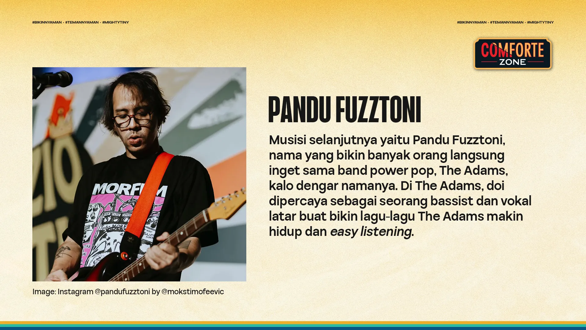 PANDU FUZZTONI