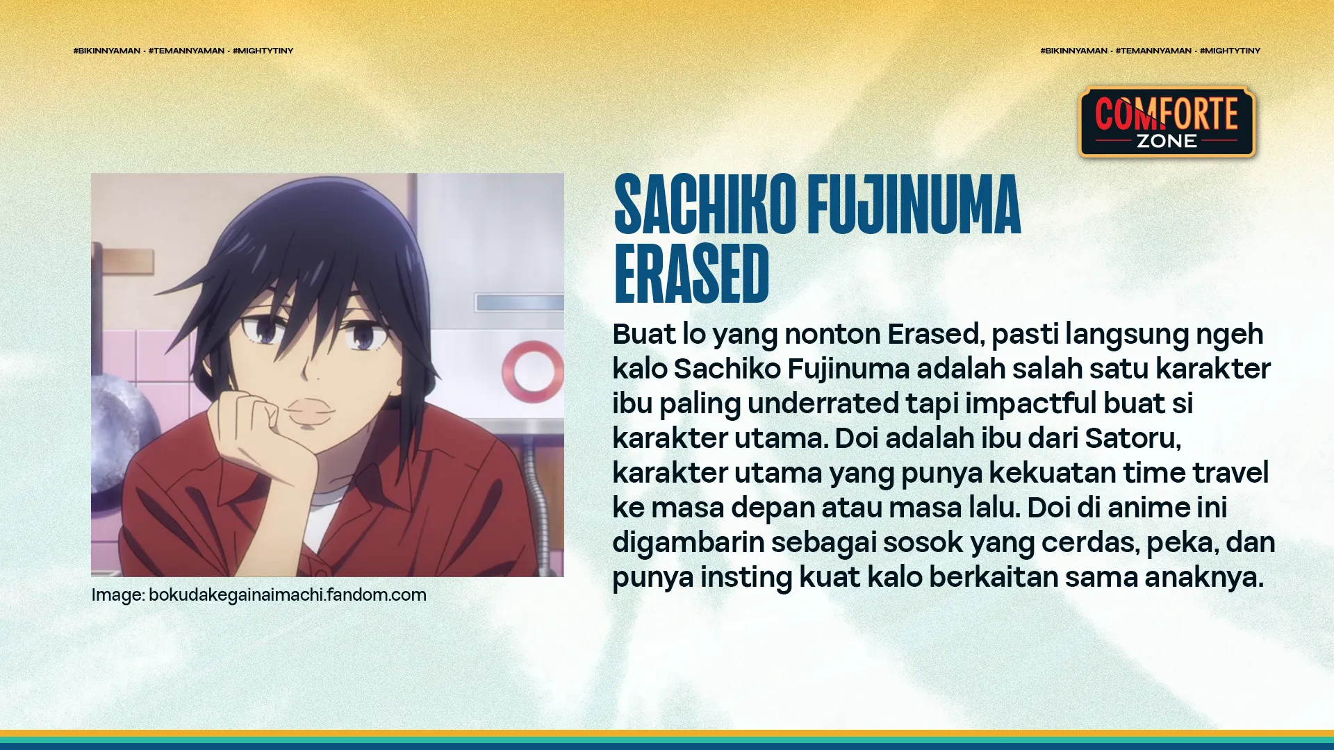 SACHIKO FUJINUMA - ERASED
