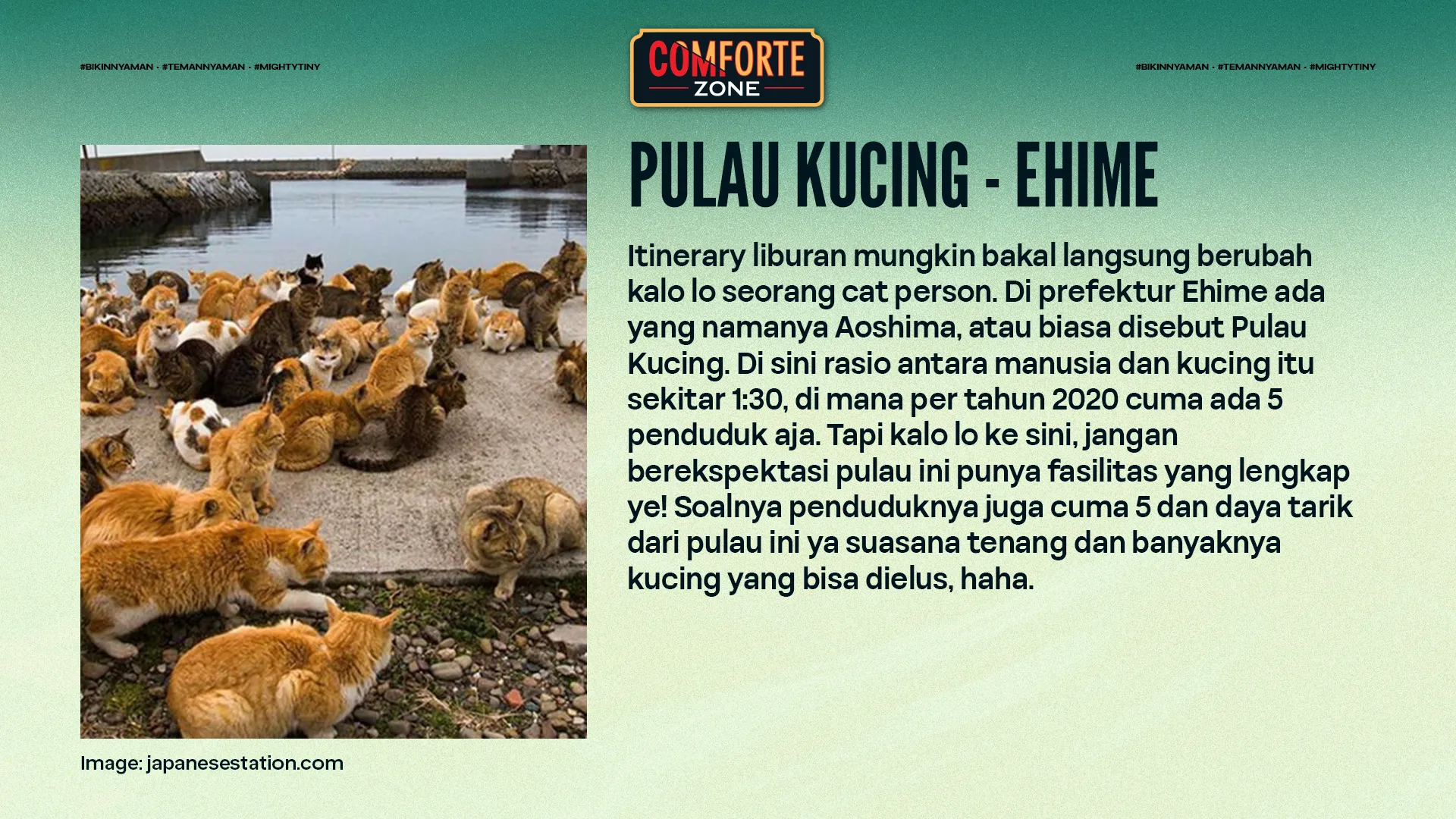 PULAU KUCING - EHIME