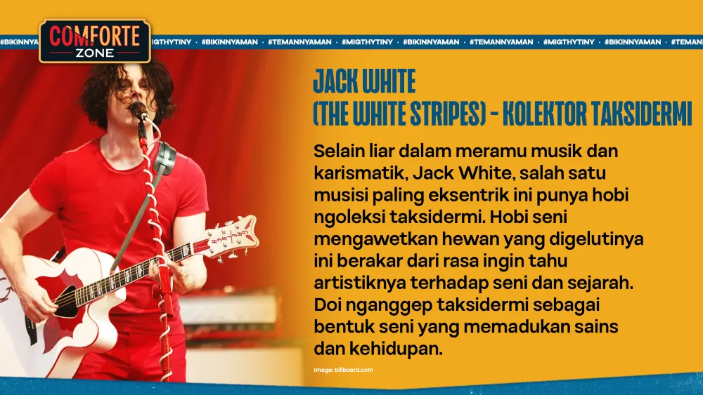 JACK WHITE (THE WHITE STRIPES) - KOLEKTOR TAKSIDERMI