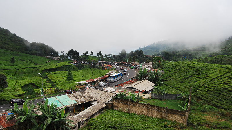 RATUSAN WARUNG TEMPAT NONGKRONG ANAK MUDA DI PUNCAK MAU DIRELOKASI