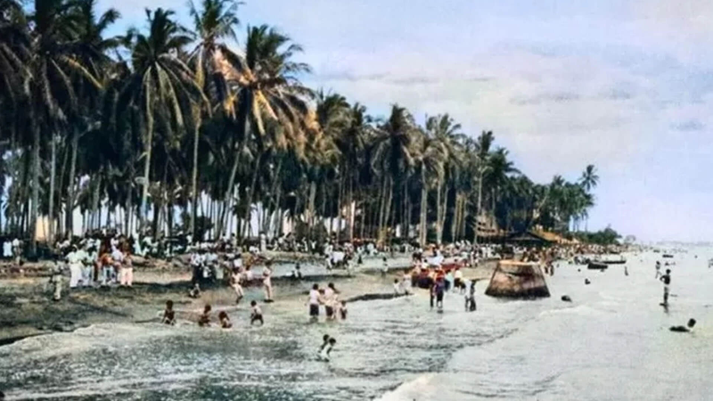 YANG PERLU LO TAU DARI CILINCING PALM BEACH